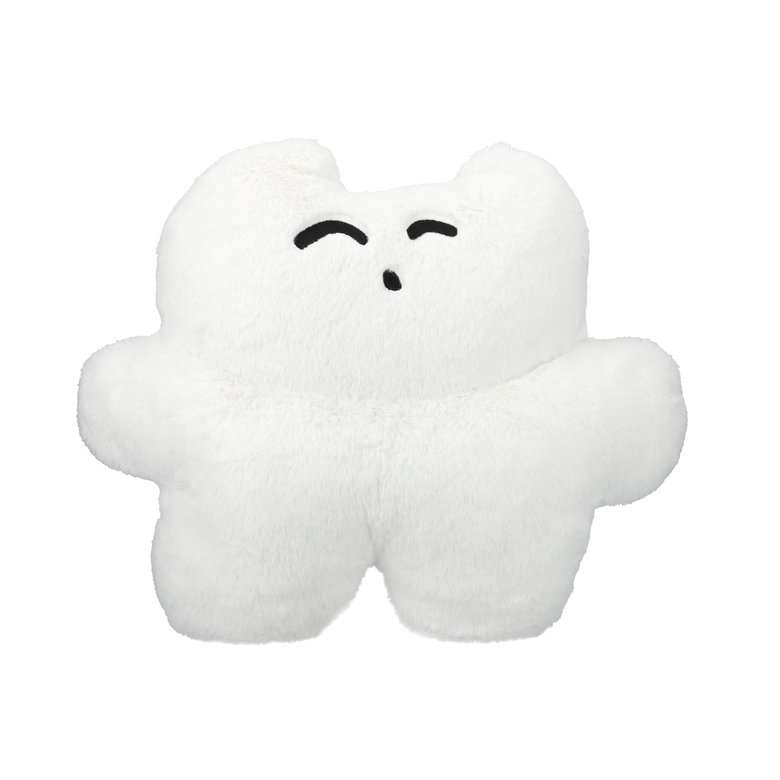 新作グッズ】kanekoayano 日本武道館ワンマンショー 2026